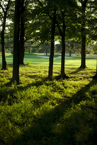 Delamere Gardens; Fixby Huddersfield